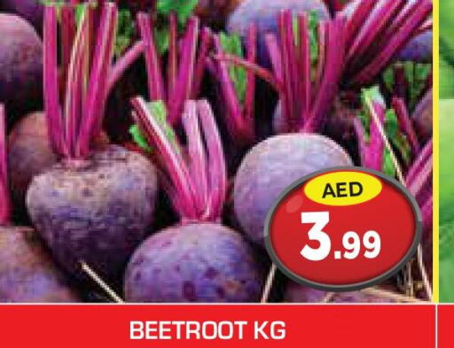  Beetroot  in سنابل بني ياس in الإمارات العربية المتحدة , الامارات - ٱلْعَيْن‎