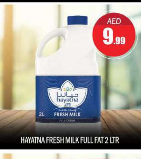 HAYATNA Fresh Milk  in BIGmart in UAE - Abu Dhabi