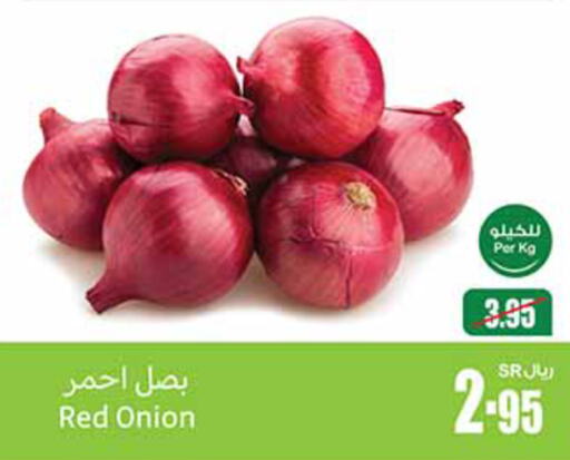  Onion  in Othaim Markets in KSA, Saudi Arabia, Saudi - Yanbu