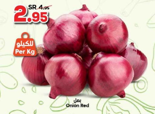  Onion  in الدكان in مملكة العربية السعودية, السعودية, سعودية - الطائف