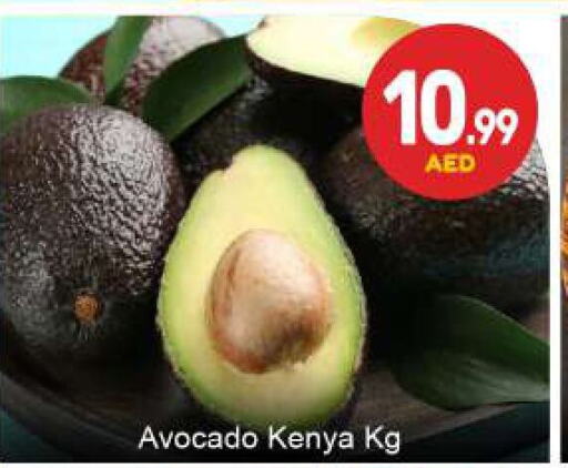 Avacado