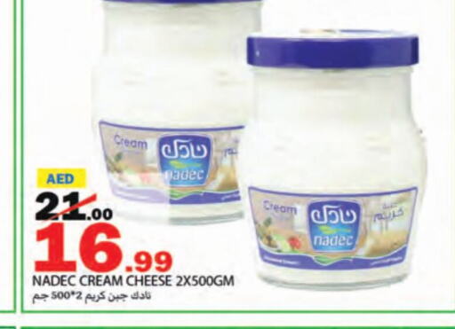 NADEC Cream Cheese  in Rawabi Market Ajman in UAE - Sharjah / Ajman