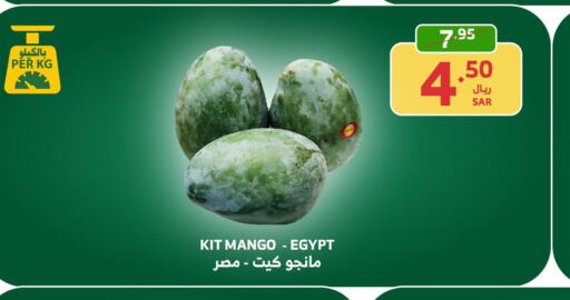  Mangoes  in Al Raya in KSA, Saudi Arabia, Saudi - Najran