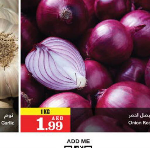  Onion  in تروليز سوبرماركت in الإمارات العربية المتحدة , الامارات - الشارقة / عجمان