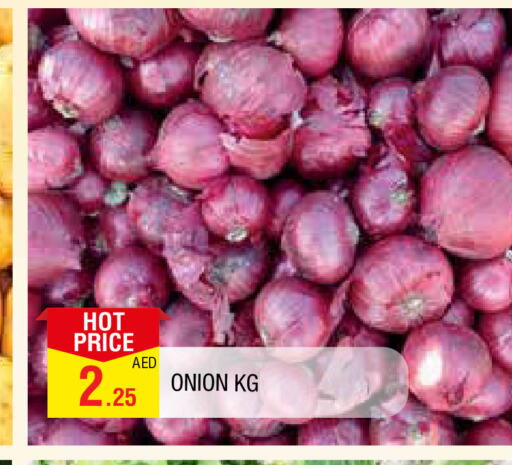  Onion  in المدينة in الإمارات العربية المتحدة , الامارات - الشارقة / عجمان