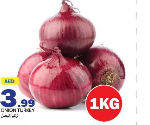  Onion  in  روابي ماركت عجمان in الإمارات العربية المتحدة , الامارات - الشارقة / عجمان