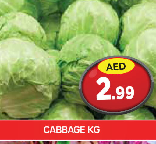  Cabbage  in سنابل بني ياس in الإمارات العربية المتحدة , الامارات - رَأْس ٱلْخَيْمَة