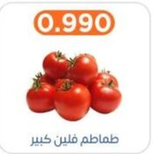  Tomato  in جمعية اشبيلية التعاونية in الكويت - مدينة الكويت