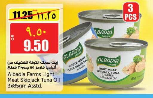  Tuna - Canned  in سوبر ماركت الهندي الجديد in قطر - الريان