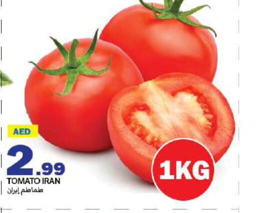  Tomato  in  روابي ماركت عجمان in الإمارات العربية المتحدة , الامارات - الشارقة / عجمان