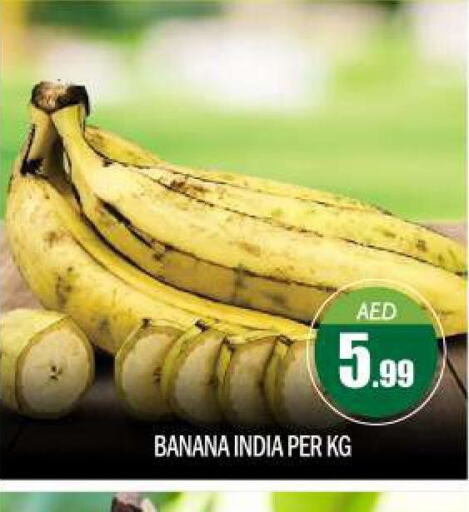  Banana  in BIGmart in UAE - Abu Dhabi