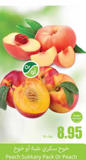  Peach  in Othaim Markets in KSA, Saudi Arabia, Saudi - Az Zulfi