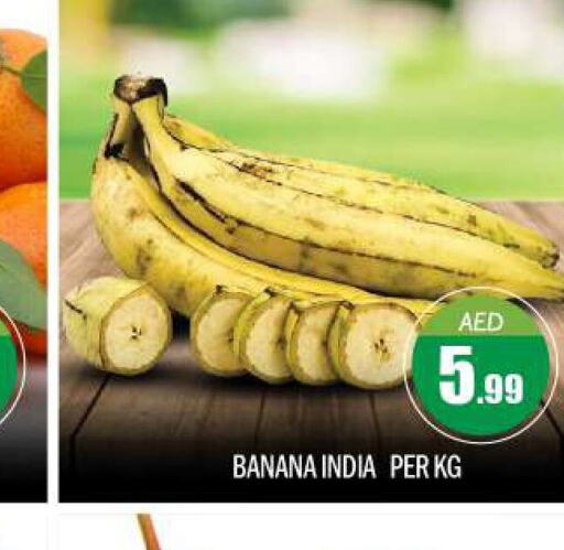  Banana  in BIGmart in UAE - Abu Dhabi