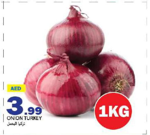  Onion  in  روابي ماركت عجمان in الإمارات العربية المتحدة , الامارات - الشارقة / عجمان