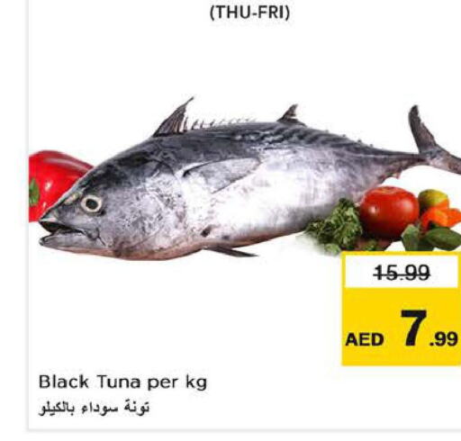  Tuna  in Nesto Hypermarket in UAE - Fujairah