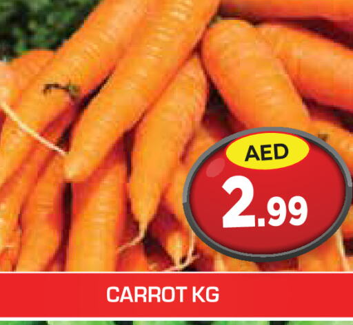  Carrot  in سنابل بني ياس in الإمارات العربية المتحدة , الامارات - رَأْس ٱلْخَيْمَة