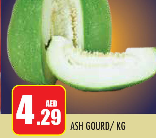  Gourd  in Baniyas Spike  in UAE - Abu Dhabi