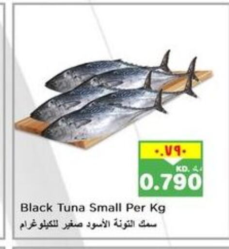  Tuna  in Nesto Hypermarkets in Kuwait - Kuwait City