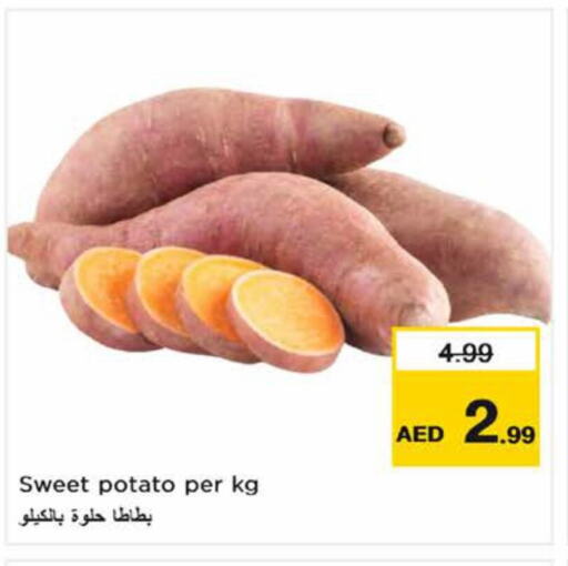  Sweet Potato  in نستو هايبرماركت in الإمارات العربية المتحدة , الامارات - رَأْس ٱلْخَيْمَة