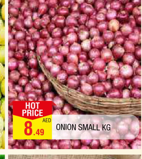  Onion  in المدينة in الإمارات العربية المتحدة , الامارات - الشارقة / عجمان