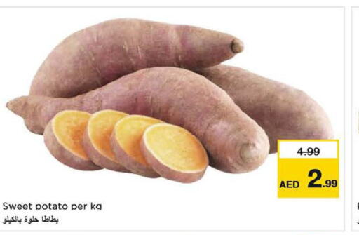  Sweet Potato  in نستو هايبرماركت in الإمارات العربية المتحدة , الامارات - أبو ظبي