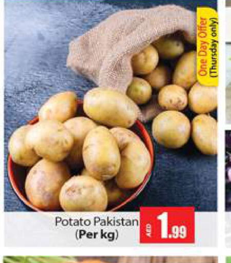  Potato  in Gulf Hypermarket LLC in UAE - Ras al Khaimah