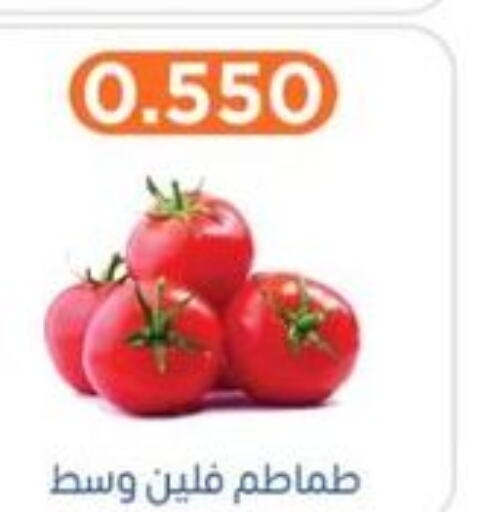  Tomato  in جمعية اشبيلية التعاونية in الكويت - مدينة الكويت