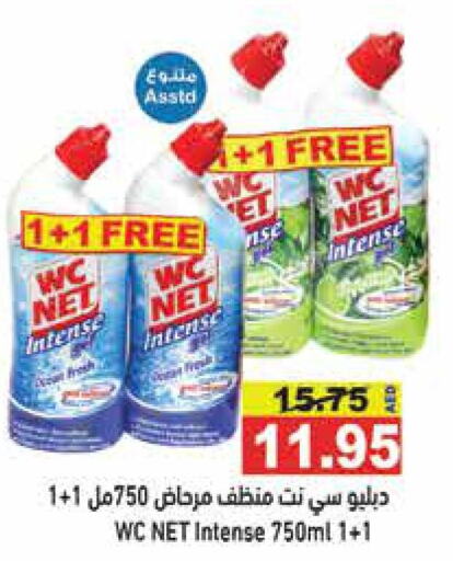  Toilet / Drain Cleaner  in Aswaq Ramez in UAE - Ras al Khaimah