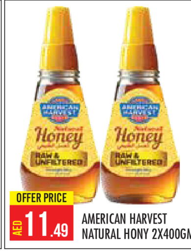 AMERICAN HARVEST Honey  in Baniyas Spike  in UAE - Abu Dhabi