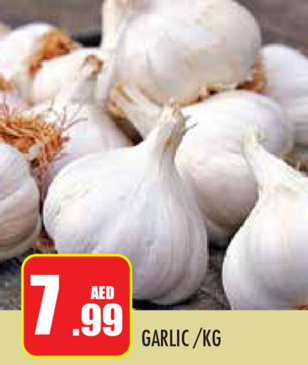  Garlic  in Baniyas Spike  in UAE - Abu Dhabi