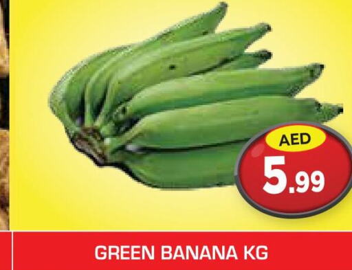  Banana  in سنابل بني ياس in الإمارات العربية المتحدة , الامارات - ٱلْعَيْن‎