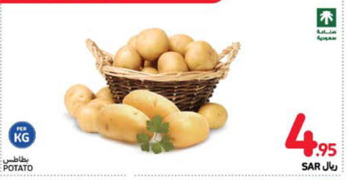  Potato  in Carrefour in KSA, Saudi Arabia, Saudi - Jeddah