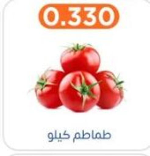  Tomato  in جمعية اشبيلية التعاونية in الكويت - مدينة الكويت