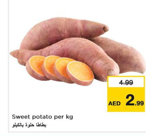  Sweet Potato  in لاست تشانس in الإمارات العربية المتحدة , الامارات - ٱلْفُجَيْرَة‎