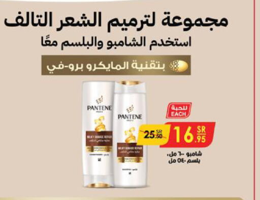 PANTENE Shampoo / Conditioner  in Danube in KSA, Saudi Arabia, Saudi - Abha