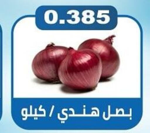  Onion  in جمعية الشعب التعاونية in الكويت - مدينة الكويت