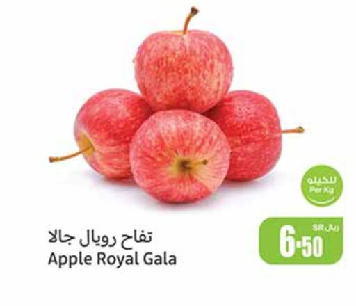  Apples  in Othaim Markets in KSA, Saudi Arabia, Saudi - Al Qunfudhah