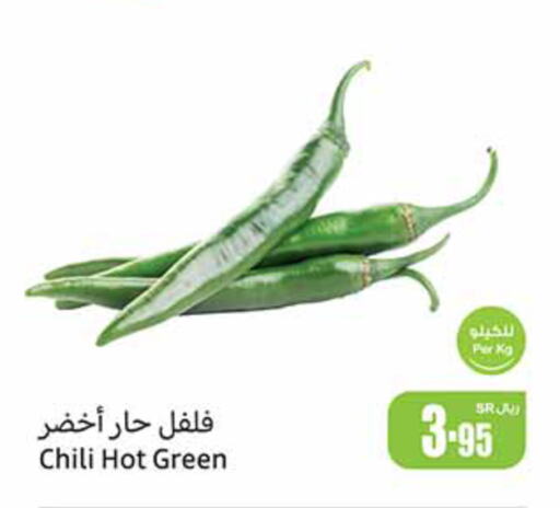  Chilli / Capsicum  in أسواق عبد الله العثيم in مملكة العربية السعودية, السعودية, سعودية - القطيف‎