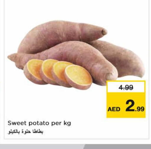  Sweet Potato  in نستو هايبرماركت in الإمارات العربية المتحدة , الامارات - الشارقة / عجمان