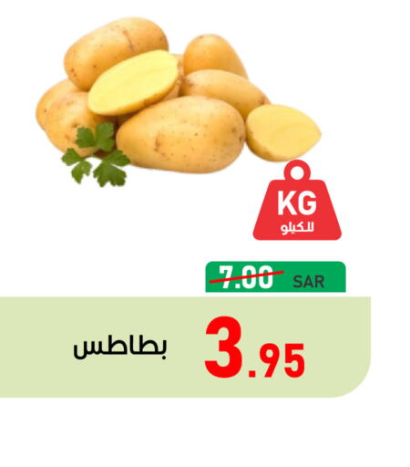  Potato  in أسواق جرين أبل in مملكة العربية السعودية, السعودية, سعودية - الأحساء‎