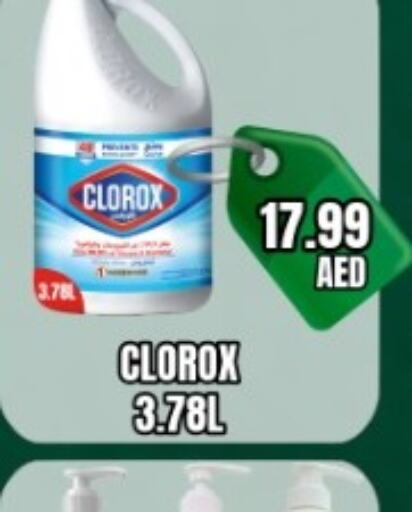 CLOROX مبيض  in هايبرماركت مجستك بلس in الإمارات العربية المتحدة , الامارات - أبو ظبي