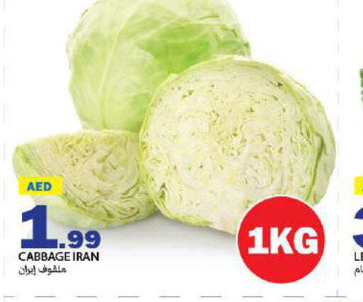  Cabbage  in  روابي ماركت عجمان in الإمارات العربية المتحدة , الامارات - الشارقة / عجمان