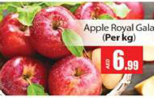  Apples  in Gulf Hypermarket LLC in UAE - Ras al Khaimah