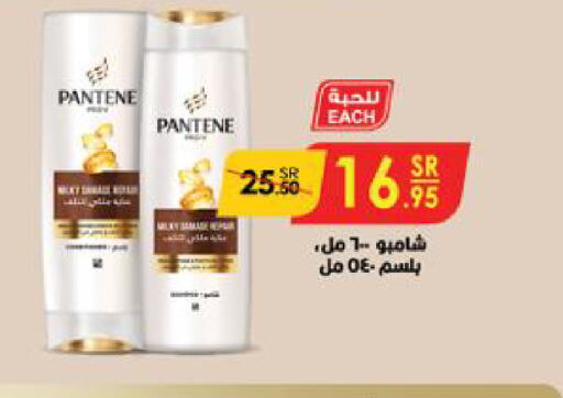 PANTENE شامبو / بلسم  in الدانوب in مملكة العربية السعودية, السعودية, سعودية - الخرج