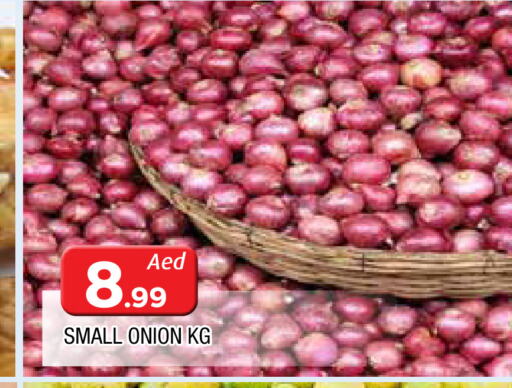  Onion  in المدينة in الإمارات العربية المتحدة , الامارات - الشارقة / عجمان