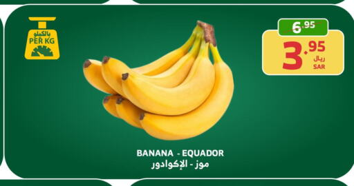  Banana  in Al Raya in KSA, Saudi Arabia, Saudi - Najran