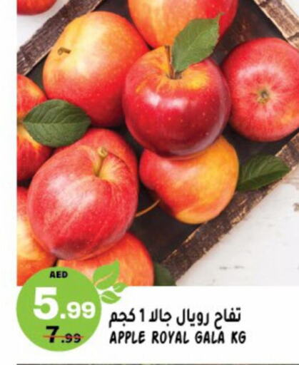  Apples  in هاشم هايبرماركت in الإمارات العربية المتحدة , الامارات - الشارقة / عجمان