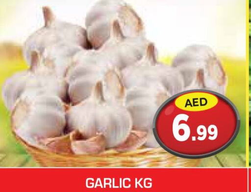  Garlic  in سنابل بني ياس in الإمارات العربية المتحدة , الامارات - ٱلْعَيْن‎