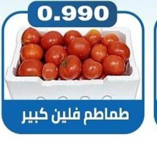  Tomato  in جمعية الشعب التعاونية in الكويت - مدينة الكويت