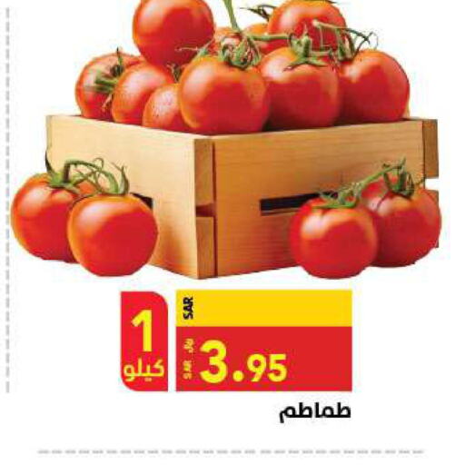  Tomato  in مخازن سوبرماركت in مملكة العربية السعودية, السعودية, سعودية - الرياض